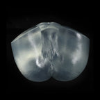 Crystal Transparent TPE Butt Doll - product view 3