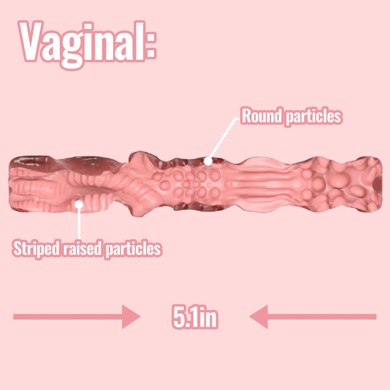 Daphne Busty Curvy Torso Sex Doll vaginal canal length diagram