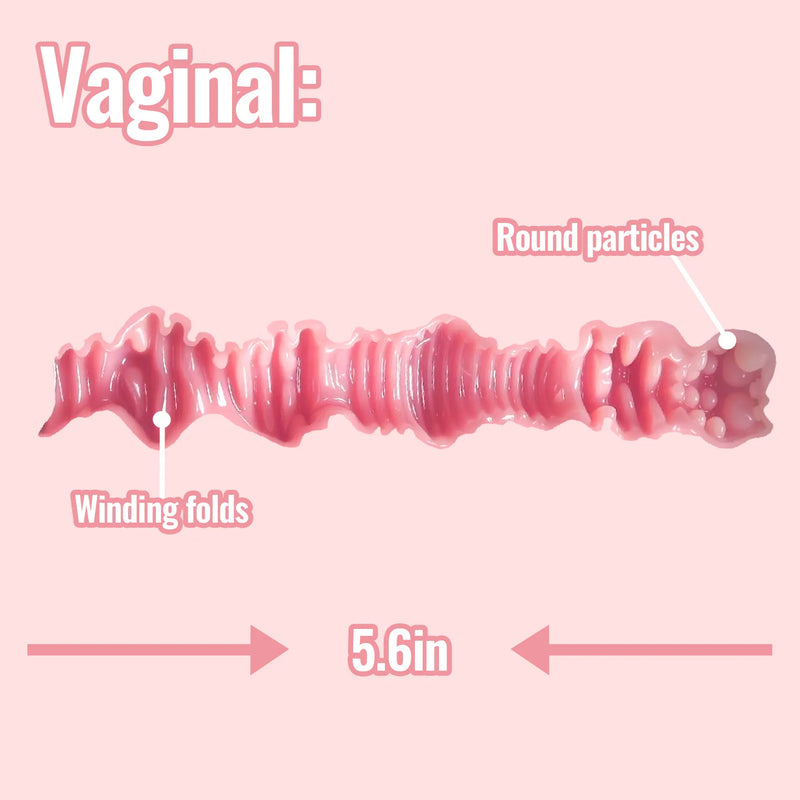Daphne XL Busty Curvy Torso Sex Doll vaginal canal length diagram